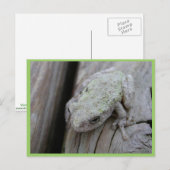 Carte Postale Vers Le Haut De La Grenouille Des Arbres Blancs (Devant / Derrière)