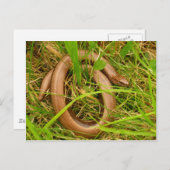 Carte postale Vers Lents (Devant / Derrière)