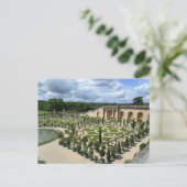 Carte postale Versailles Orangerie France Gardens (Debout devant)