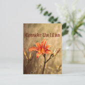 Carte Postale Verse biblique : Considérez les mensonges (Debout devant)