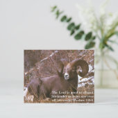 Carte Postale verset de la Bible bélière (Debout devant)