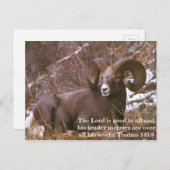 Carte Postale verset de la Bible bélière (Devant / Derrière)