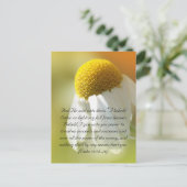 Carte Postale Versets de la Bible, Daisy (Debout devant)