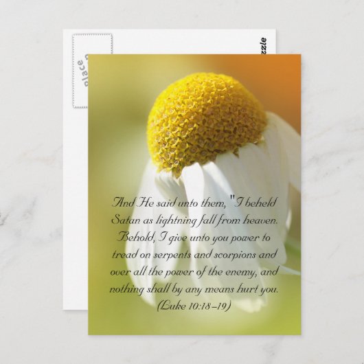 Carte Postale Versets de la Bible, Daisy (Devant / Derrière)