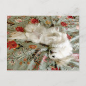 Carte Postale Vert (Devant)