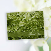 Carte Postale Vert Annabelle Hydrangea Merci Floral