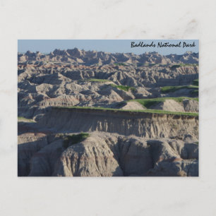 Carte Postale Vert dans les terres insalubres