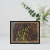Carte Postale vert de printemps (Debout devant)