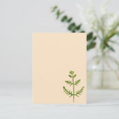 Carte Postale vert de printemps  (Debout devant)
