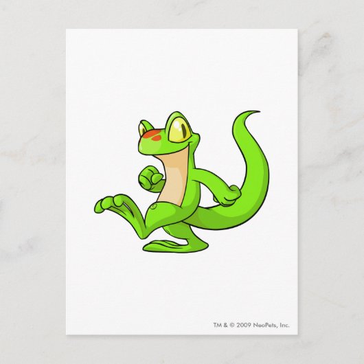 Carte Postale Vert de Techo (Devant)