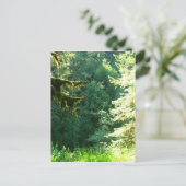 Carte Postale Vert et vert (Debout devant)