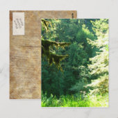 Carte Postale Vert et vert (Devant / Derrière)