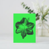 Carte Postale Vert foncé sur vert clair Amaryllis (Debout devant)