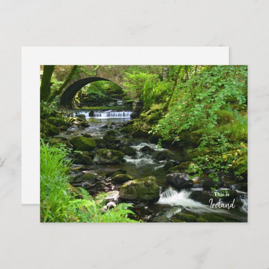 Carte Postale Vert Irlandais - Irlande (Devant / Derrière)