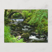 Carte Postale Vert Irlandais - Irlande (Devant)