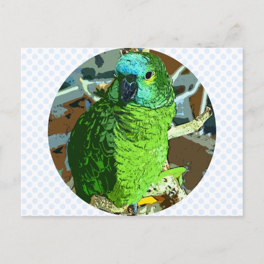 Carte Postale Vert perroquet (Devant)