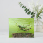 Carte Postale Vert vif (Debout devant)