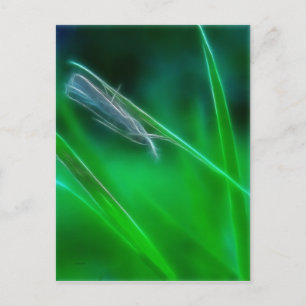 Carte postale verte