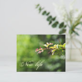 Carte postale verte (Debout devant)