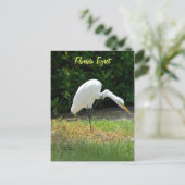 Carte postale verte de Floride (Debout devant)