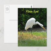 Carte postale verte de Floride (Devant / Derrière)