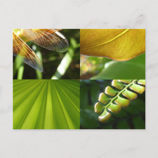 Carte postale verte et or