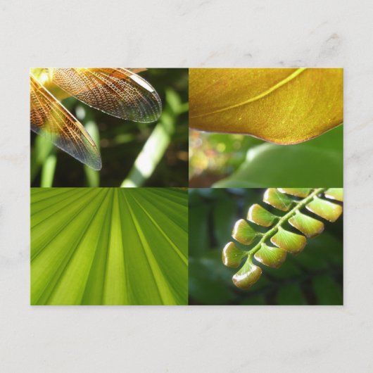 Carte postale verte et or (Devant)