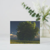 Carte postale verte et or (Debout devant)