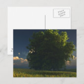 Carte postale verte et or (Devant / Derrière)