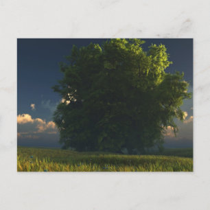 Carte postale verte et or