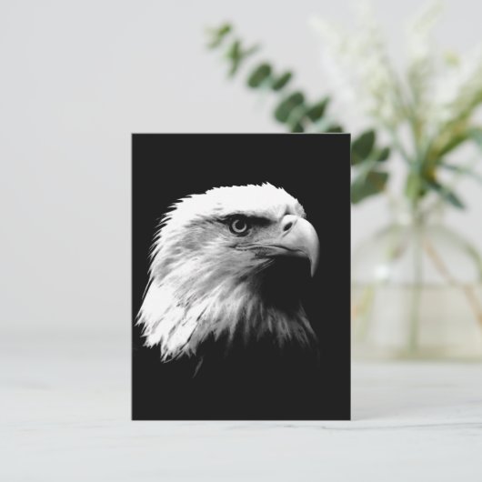 Carte postale Vertical Black & White Bald Eagle (Debout devant)