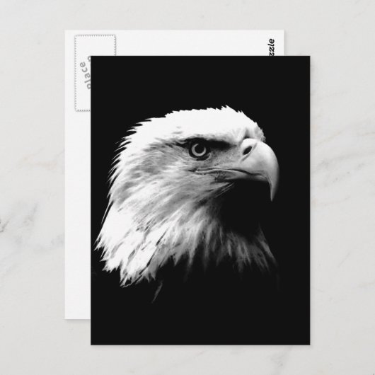 Carte postale Vertical Black & White Bald Eagle (Devant / Derrière)