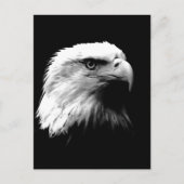 Carte postale Vertical Black & White Bald Eagle (Devant)