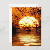 Carte postale verticale du coucher de soleil liqui (Devant / Derrière)