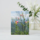 Carte postale verticale Fleur sauvage Corydalis (Debout devant)