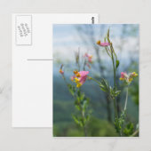 Carte postale verticale Fleur sauvage Corydalis (Devant / Derrière)