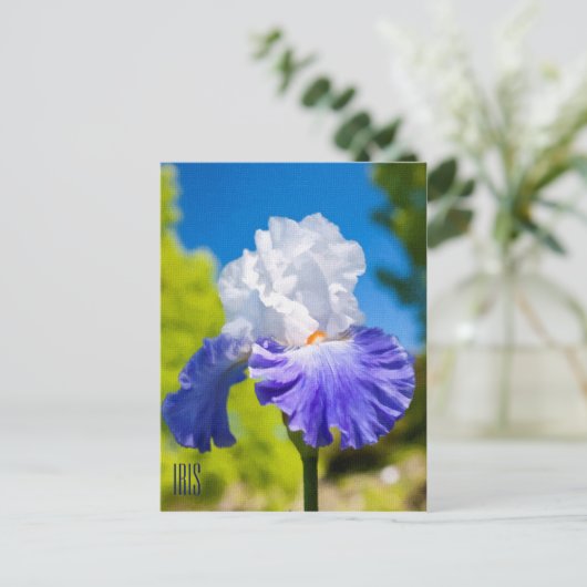 Carte postale verticale Iris (Debout devant)