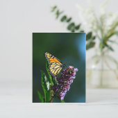 Carte postale Verticale Monarch Flutts (Debout devant)