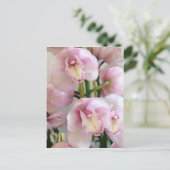 Carte postale Verticale Orchidées Roses (Debout devant)