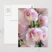 Carte postale Verticale Orchidées Roses (Devant / Derrière)