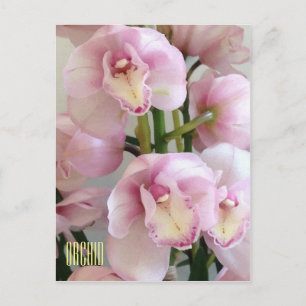 Carte postale Verticale Orchidées Roses