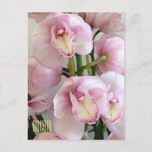 Carte postale Verticale Orchidées Roses (Devant)