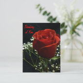 Carte postale Verticale Rose Rouge (Debout devant)