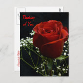 Carte postale Verticale Rose Rouge (Devant / Derrière)