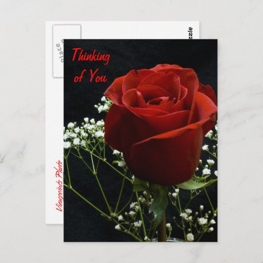 Carte postale Verticale Rose Rouge (Devant / Derrière)