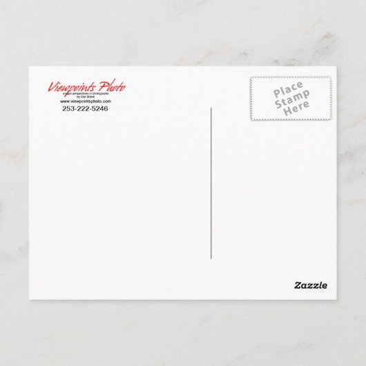 Carte postale Verticale Rose Rouge (Dos)