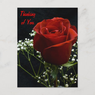 Carte postale Verticale Rose Rouge