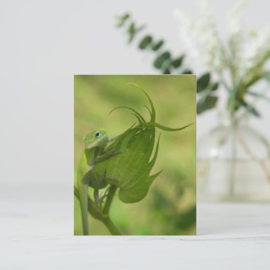 Carte Postale Verts du Sud (Debout devant)