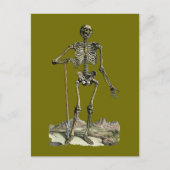Carte Postale Vésale : Système squelettique (Devant)