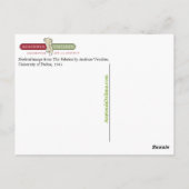 Carte Postale Vesalius Skeletal Image (Dos)